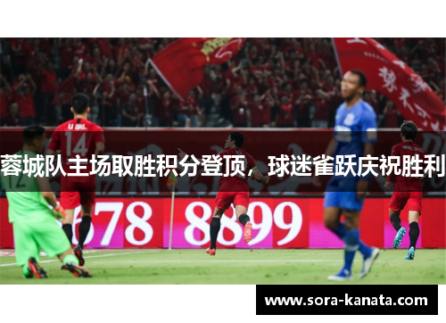 蓉城队主场取胜积分登顶,球迷雀跃庆祝胜利 蓉城队主场取胜积分登顶,球迷雀跃庆祝胜利